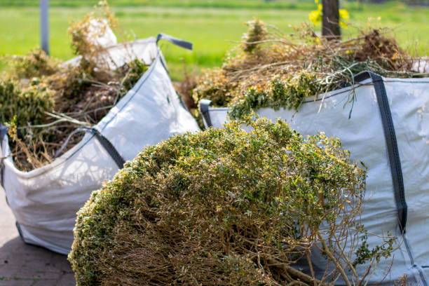 Best Basement Cleanout Services  in Fairview Park, OH